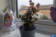 PXL_20260322_171717919.MP_