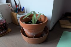 PXL_20260322_171732169.MP_