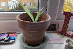 PXL_20260322_172052619.MP_